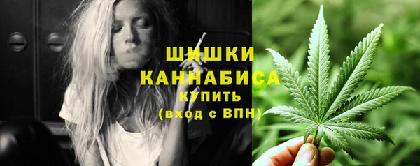 молекула духа Снежногорск