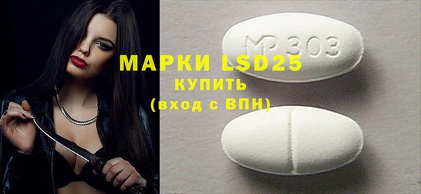 молекула духа Снежногорск
