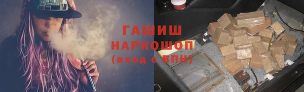 молекула духа Снежногорск