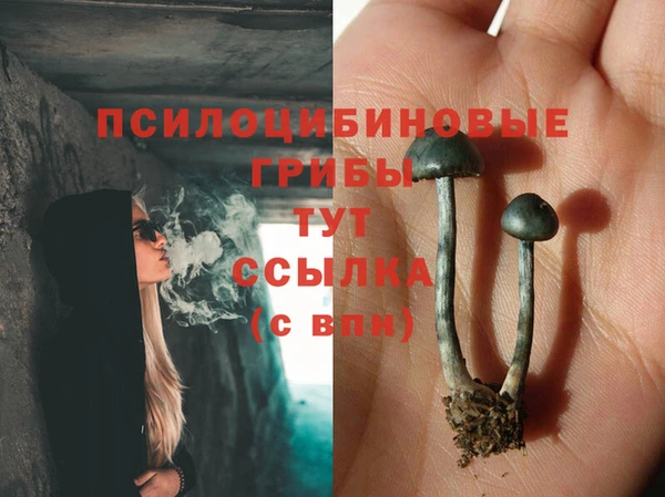 бутират Слюдянка