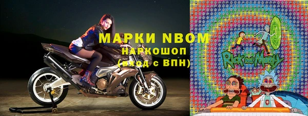 молекула духа Снежногорск
