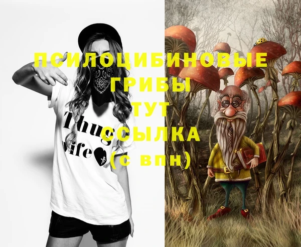 шишки Верхний Тагил