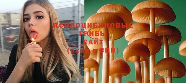 прущий лед Дубовка