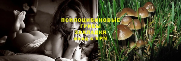ешки Бронницы