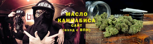 молекула духа Снежногорск