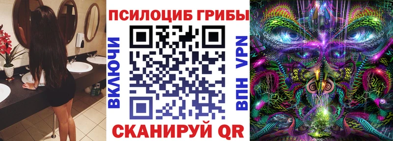 Псилоцибиновые грибы GOLDEN TEACHER  Бронницы 
